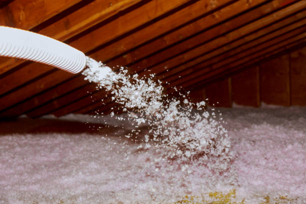 Best Insulation Removal  in Archbold, OH