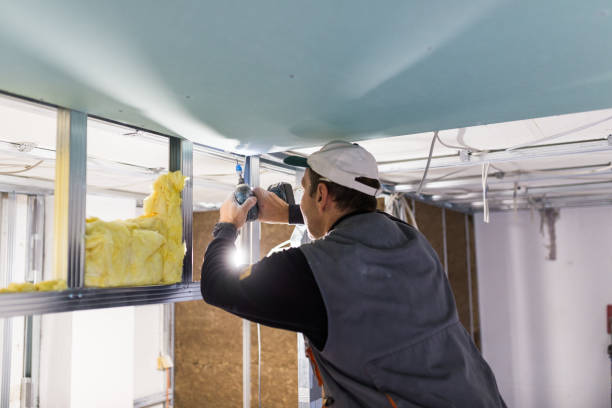 Best Attic Insulation Installation  in Archbold, OH